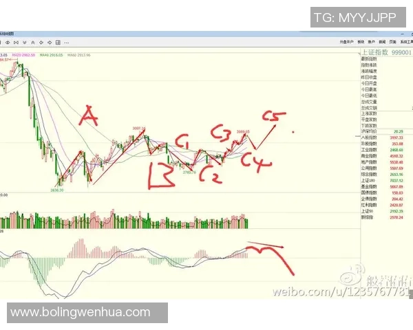 深入分析FPX战队的防守策略与战术执行细节